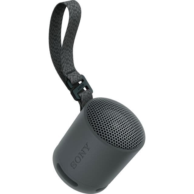 Sony SRSXB100B.CE7 Bluetooth Speaker - Black